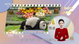 亚洲精品国产日韩